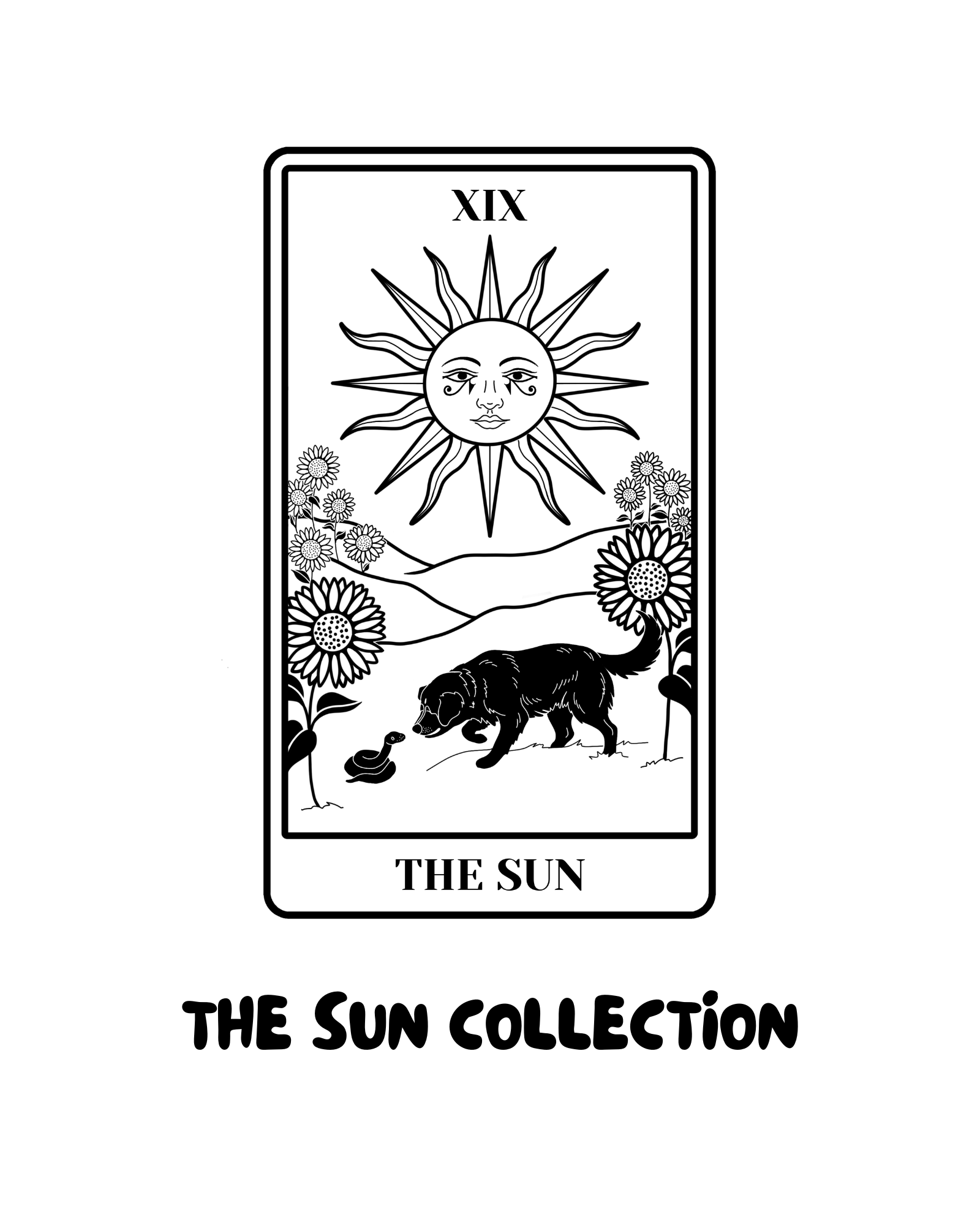 The Sun Collection