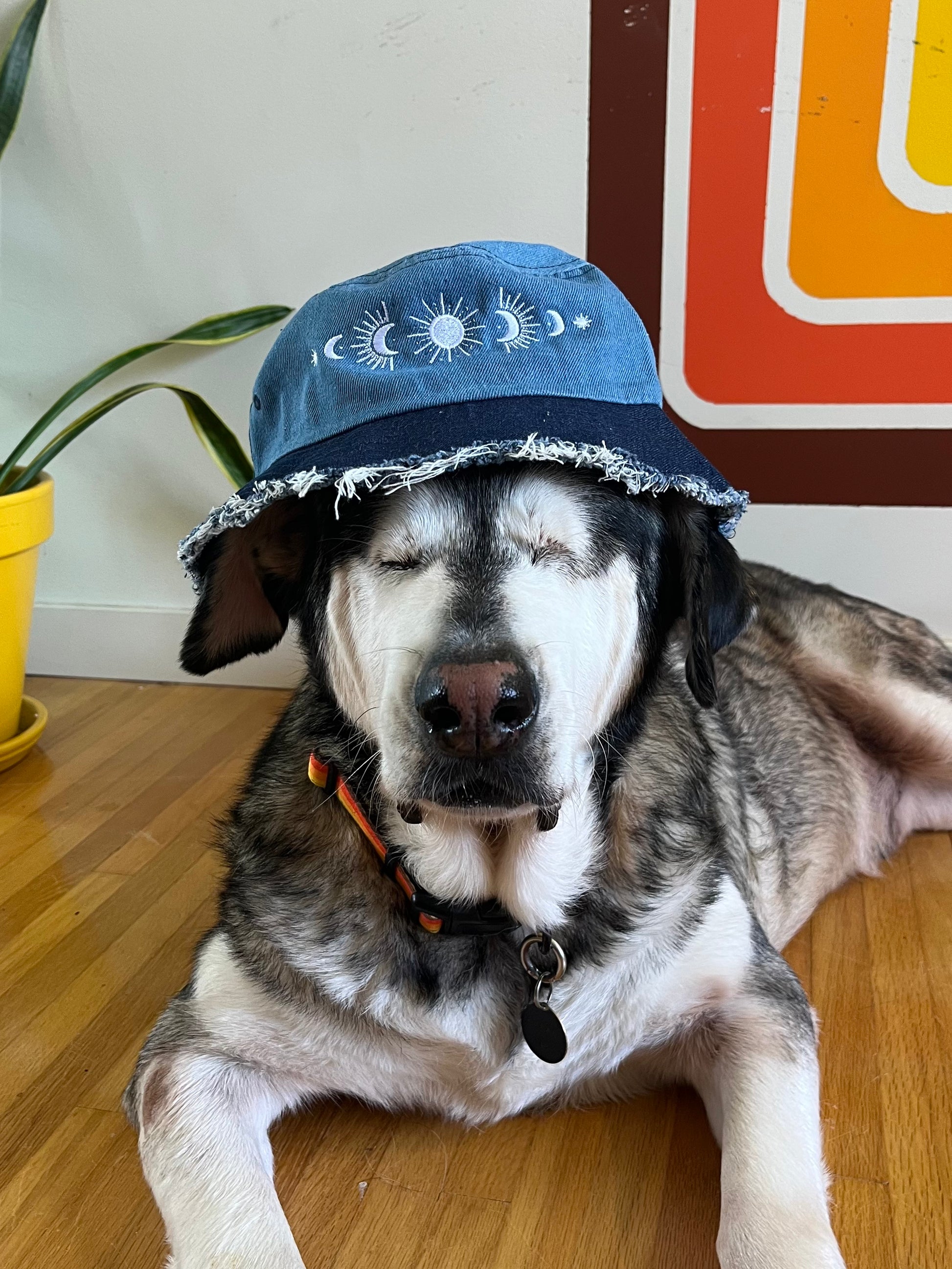 Hat // Serpent & Sky // Denim Bucket Hat // Embroidered