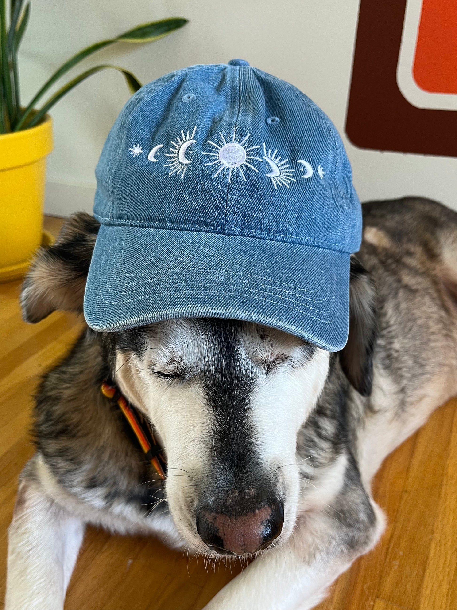 Hat // Serpent & Sky // Denim Cap // Embroidered
