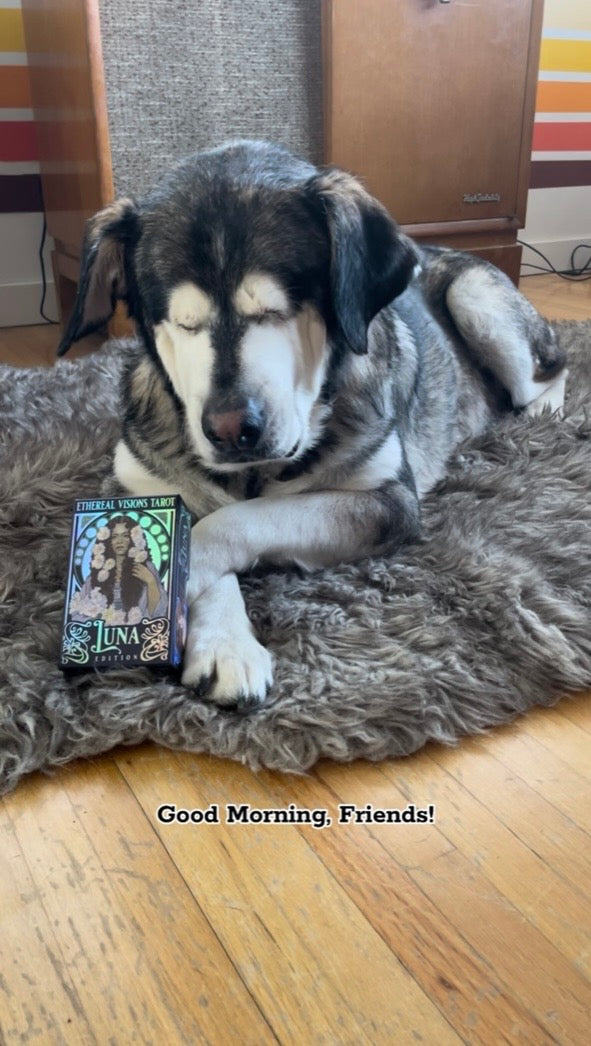 A Personal HORACEscope Reading // 3 Cards