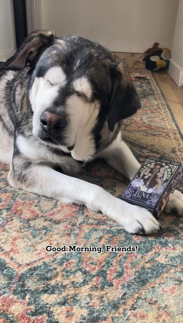 A Personal HORACEscope Reading // 3 Cards