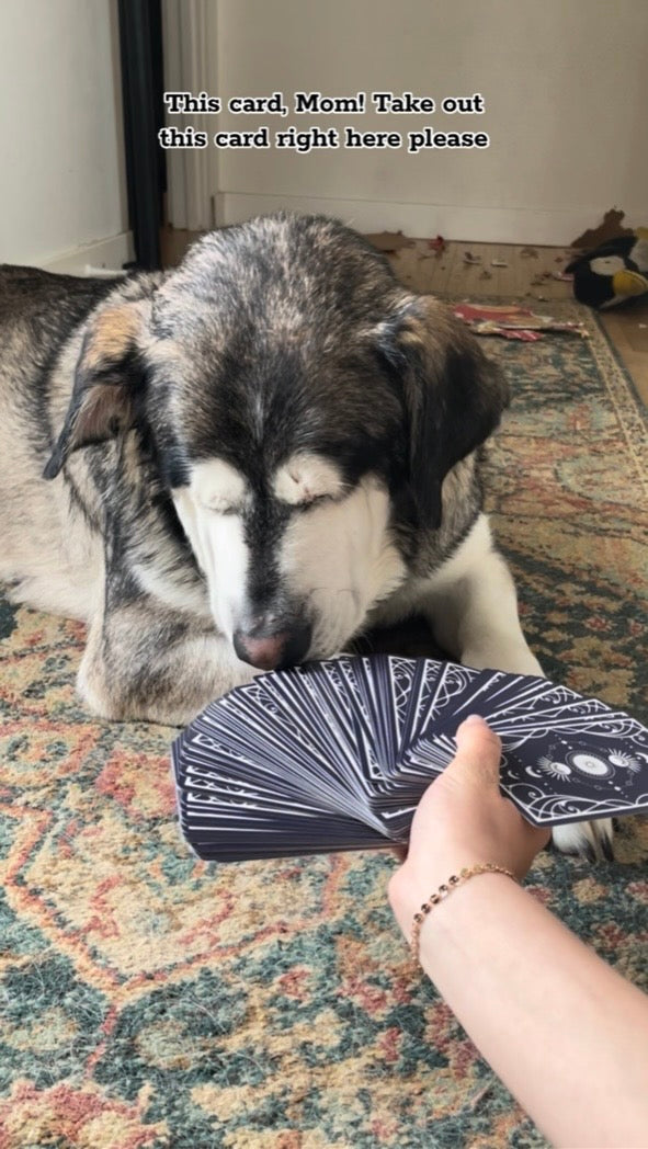 A Personal HORACEscope Reading // 3 Cards