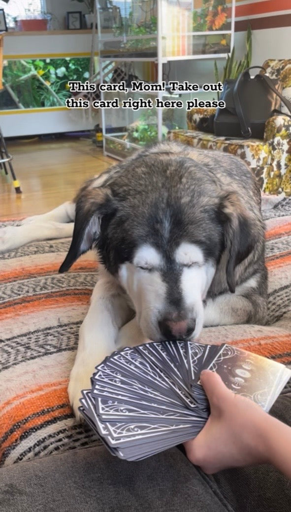 A Personal HORACEscope Reading // 3 Cards