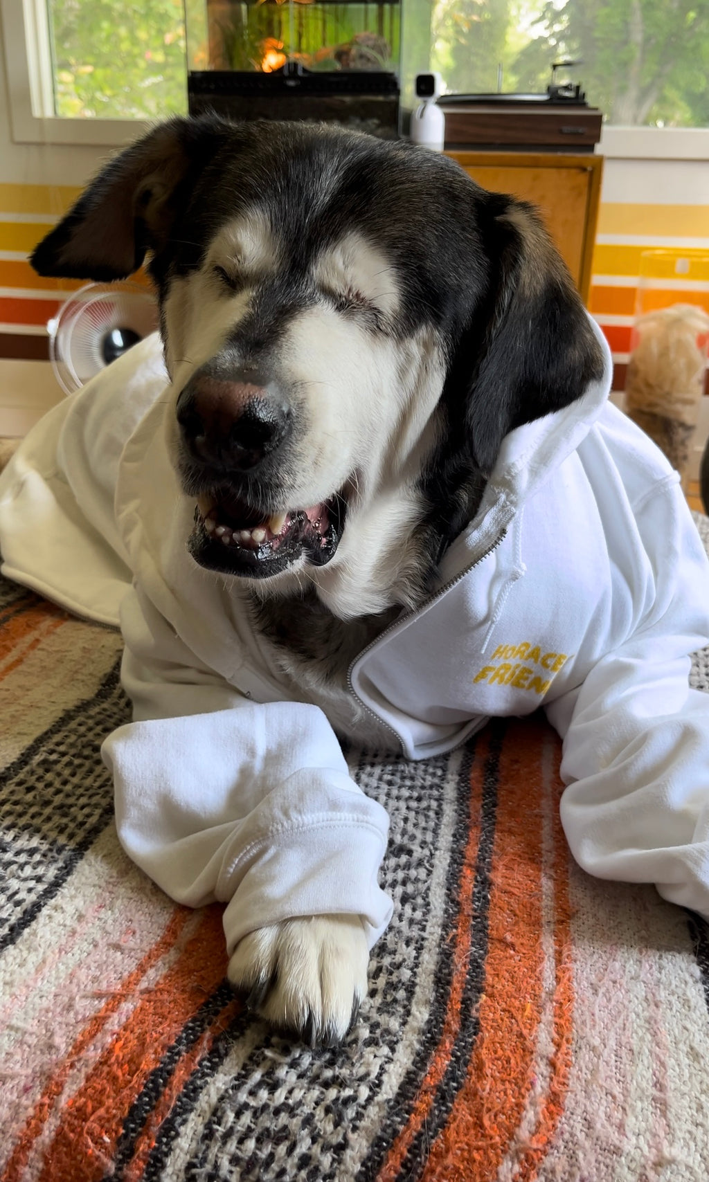 Hoodie with Zipper // Tarot Dog // Unisex White