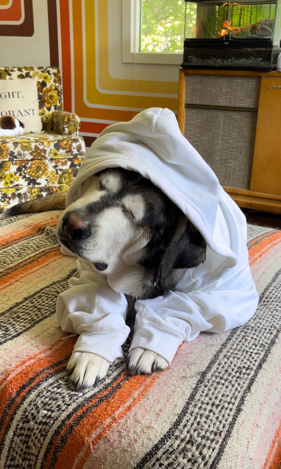 Hoodie with Zipper // Tarot Dog // Unisex White