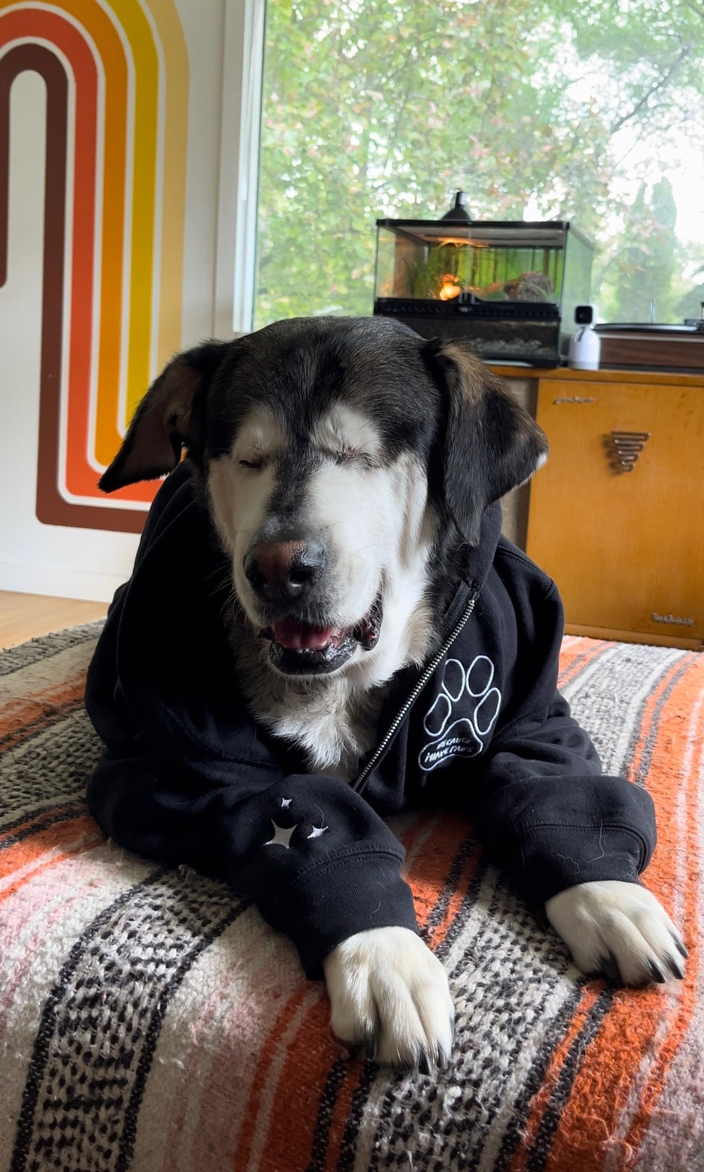 Hoodie with Zipper // Because I Have Paws // Unisex Embroidered