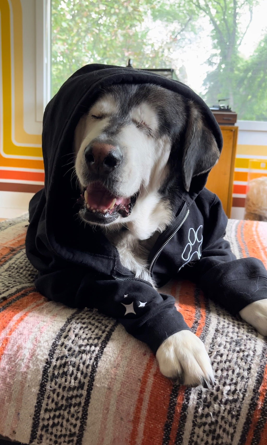 Hoodie with Zipper // Because I Have Paws // Unisex Embroidered