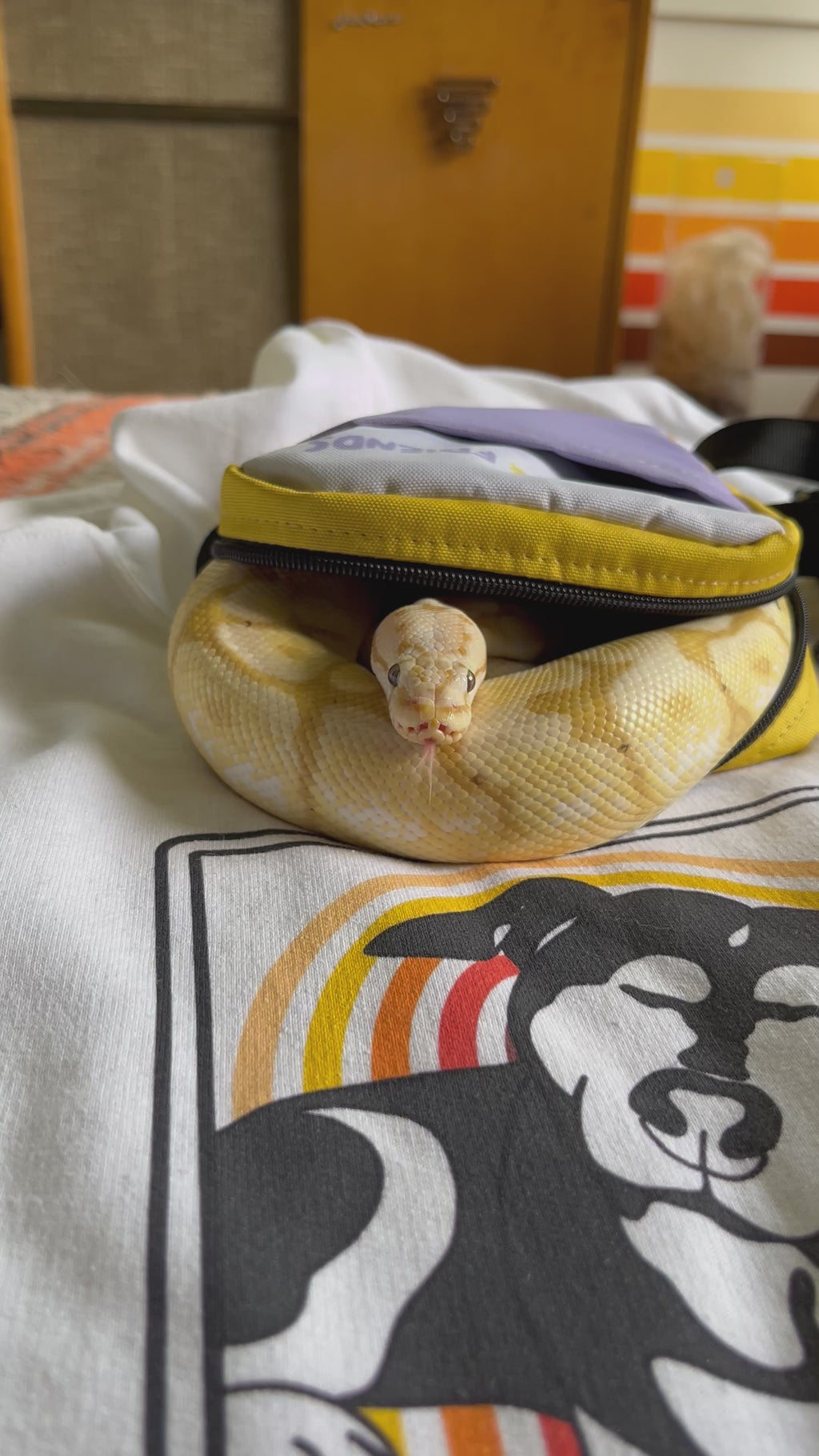 Crossbody Bag & Tarot Card Pouch