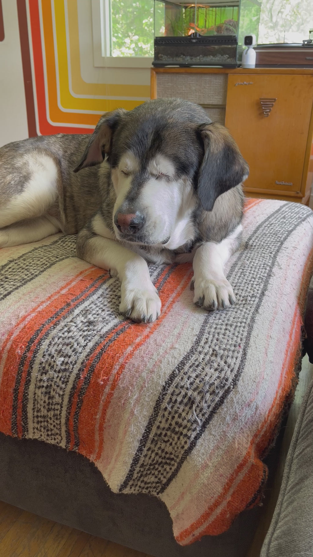 Mug // Tarot Dog // Yellow